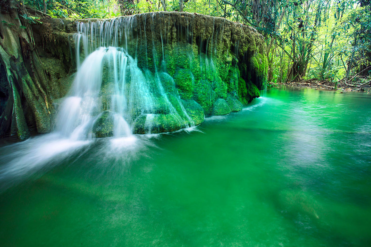 Photo Wallpaper In Paradise