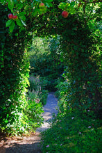 Load image into Gallery viewer, Photo Wallpaper In Paradise Garden
