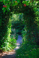 Photo Wallpaper In Paradise Garden