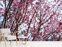 Load image into Gallery viewer, Photo Wallpaper Japanese Cherry Blossom
