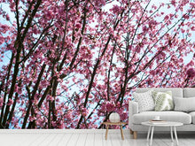 Load image into Gallery viewer, Photo Wallpaper Japanese Cherry Blossom
