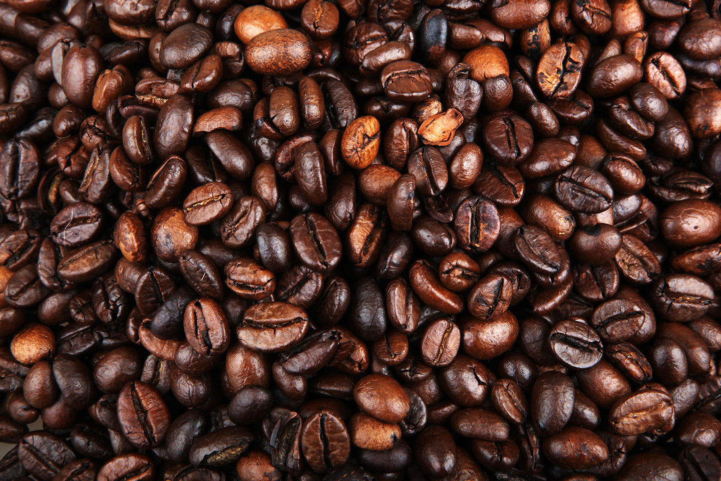 Photo Wallpaper Coffee Beans In XXL