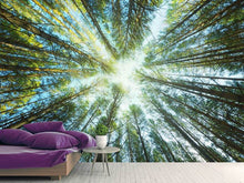 Load image into Gallery viewer, Photo Wallpaper Pine Forest
