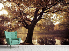 Load image into Gallery viewer, Photo Wallpaper Landscape Park
