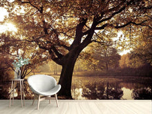 Load image into Gallery viewer, Photo Wallpaper Landscape Park
