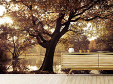 Load image into Gallery viewer, Photo Wallpaper Landscape Park
