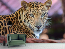Load image into Gallery viewer, Photo Wallpaper Leopard
