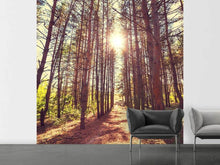 Load image into Gallery viewer, Photo Wallpaper Light At The End Of The Forest Path
