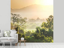 Load image into Gallery viewer, Photo Wallpaper Light Show In forest
