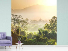 Load image into Gallery viewer, Photo Wallpaper Light Show In forest
