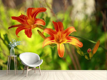 Load image into Gallery viewer, Photo Wallpaper Lilies In Nature
