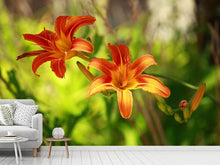 Load image into Gallery viewer, Photo Wallpaper Lilies In Nature

