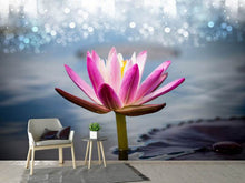 Load image into Gallery viewer, Photo Wallpaper Lotus In The Morning Dew
