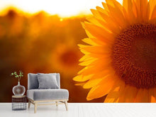 Load image into Gallery viewer, Photo Wallpaper Macro Sunflower
