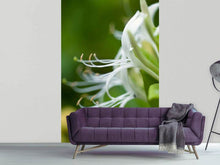 Load image into Gallery viewer, Photo Wallpaper Macro Florescence
