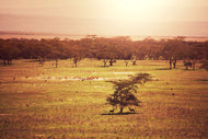 Photo Wallpaper Picturesque Africa