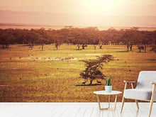 Load image into Gallery viewer, Photo Wallpaper Picturesque Africa
