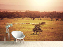 Load image into Gallery viewer, Photo Wallpaper Picturesque Africa
