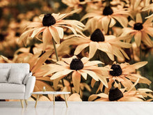 Load image into Gallery viewer, Photo Wallpaper Daisies In Sepia

