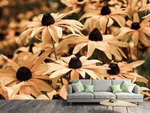 Load image into Gallery viewer, Photo Wallpaper Daisies In Sepia
