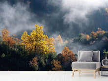 Load image into Gallery viewer, Photo Wallpaper Moonlight Forest
