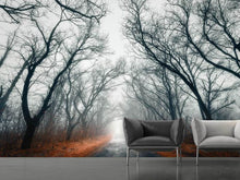 Load image into Gallery viewer, Photo Wallpaper Mysterious Mood In The Forest
