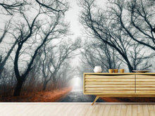 Load image into Gallery viewer, Photo Wallpaper Mysterious Mood In The Forest
