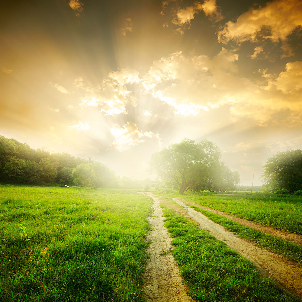 Photo Wallpaper Mystic Sunset