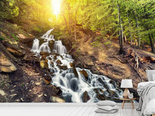 Load image into Gallery viewer, Photo Wallpaper Natural Beauty
