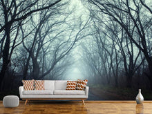 Load image into Gallery viewer, Photo Wallpaper Cloud Forest
