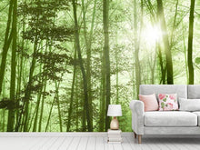 Load image into Gallery viewer, Photo Wallpaper Nibelungen Forest
