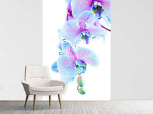 Load image into Gallery viewer, Photo Wallpaper Orchid Butterfly
