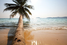 Load image into Gallery viewer, Photo Wallpaper Palm
