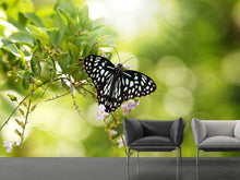 Load image into Gallery viewer, Photo Wallpaper Papilio Butterfly XXL
