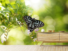 Load image into Gallery viewer, Photo Wallpaper Papilio Butterfly XXL
