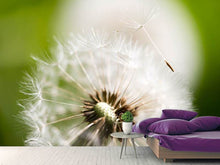 Load image into Gallery viewer, Photo Wallpaper Blowball Dandelion

