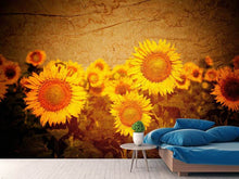 Load image into Gallery viewer, Photo Wallpaper Retro Sunflower
