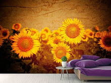 Load image into Gallery viewer, Photo Wallpaper Retro Sunflower
