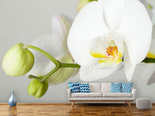 Load image into Gallery viewer, Photo Wallpaper Giant Orchid
