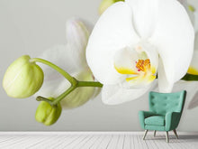 Load image into Gallery viewer, Photo Wallpaper Giant Orchid
