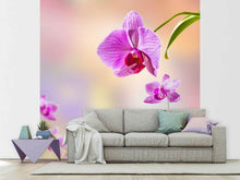 Load image into Gallery viewer, Photo Wallpaper Romantic Orchids
