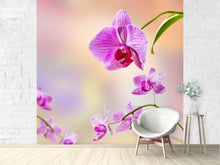Load image into Gallery viewer, Photo Wallpaper Romantic Orchids
