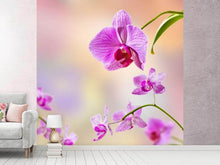 Load image into Gallery viewer, Photo Wallpaper Romantic Orchids
