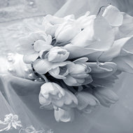 Photo Wallpaper Romantic Tulips Bouquet