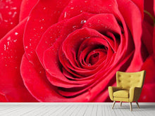 Load image into Gallery viewer, Photo Wallpaper Red Rose In Morning Dew
