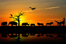Load image into Gallery viewer, Photo Wallpaper Safari Animals At Sunset
