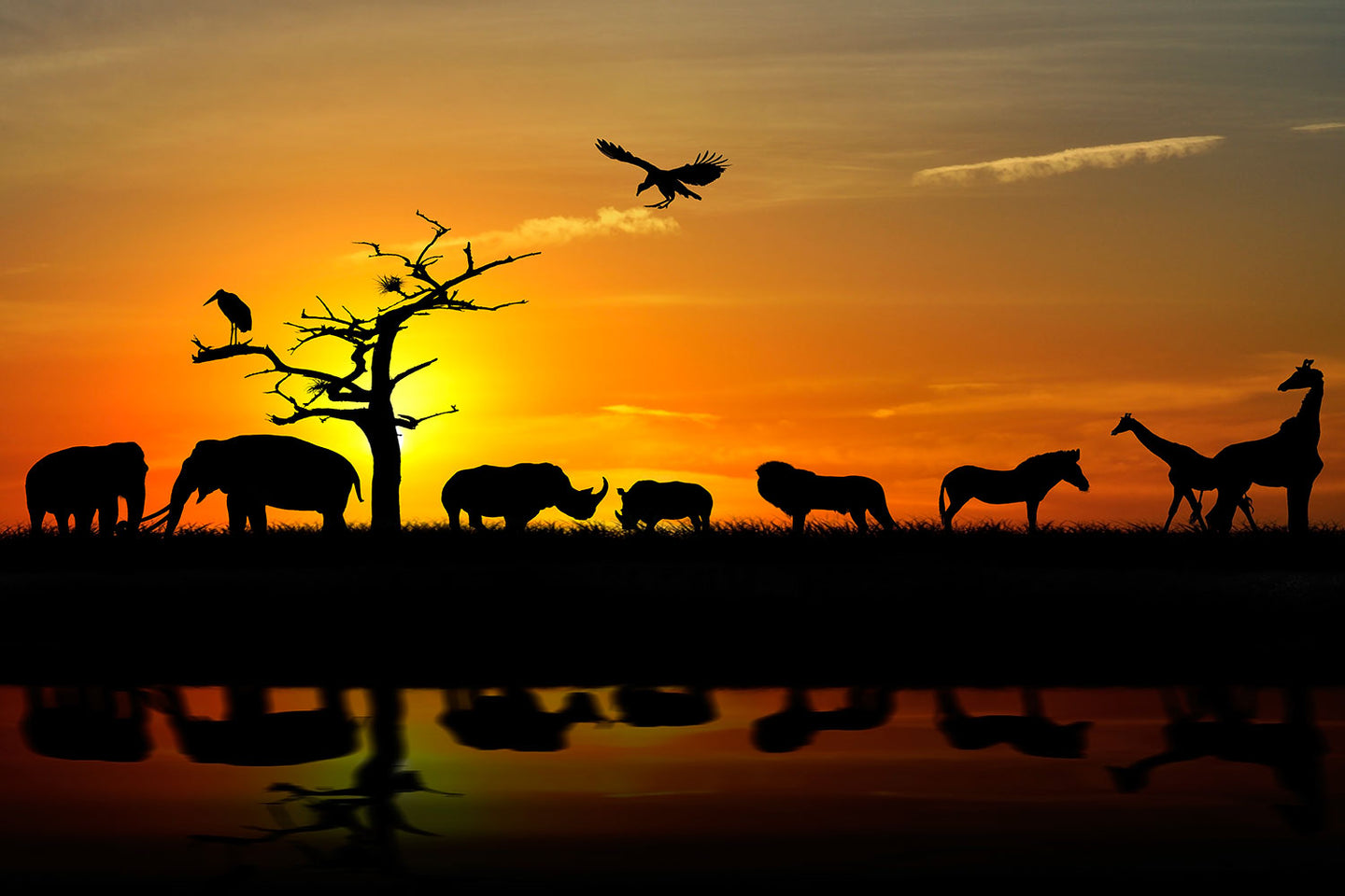Photo Wallpaper Safari Animals At Sunset
