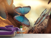 Load image into Gallery viewer, Photo Wallpaper Butterflies
