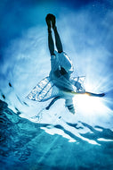 Photo Wallpaper Beauty In Sea