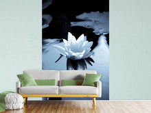 Load image into Gallery viewer, Photo Wallpaper Black And White Photograph Waterlily
